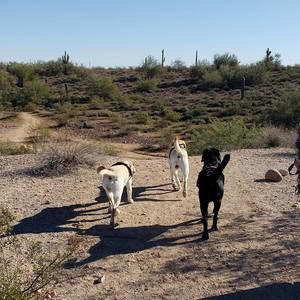 Meet your Posher, Cindi